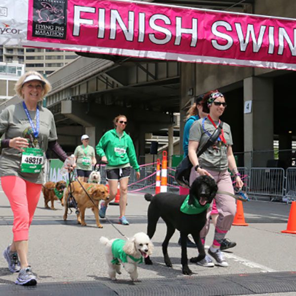 IAMS Flying Fur Run: Cincinnati, OH