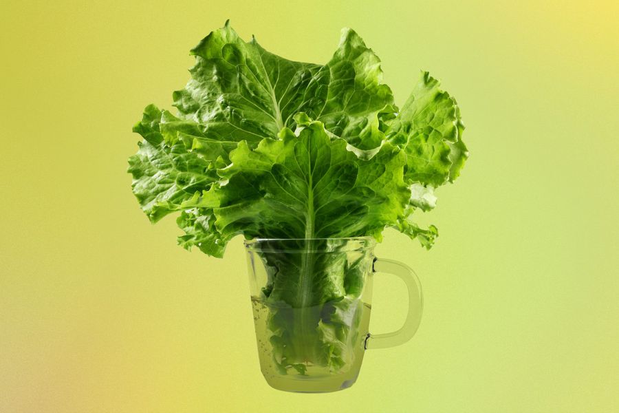 Does-Lettuce-Water-Actually-Help-You-Sleep-AdobeStock_5092214