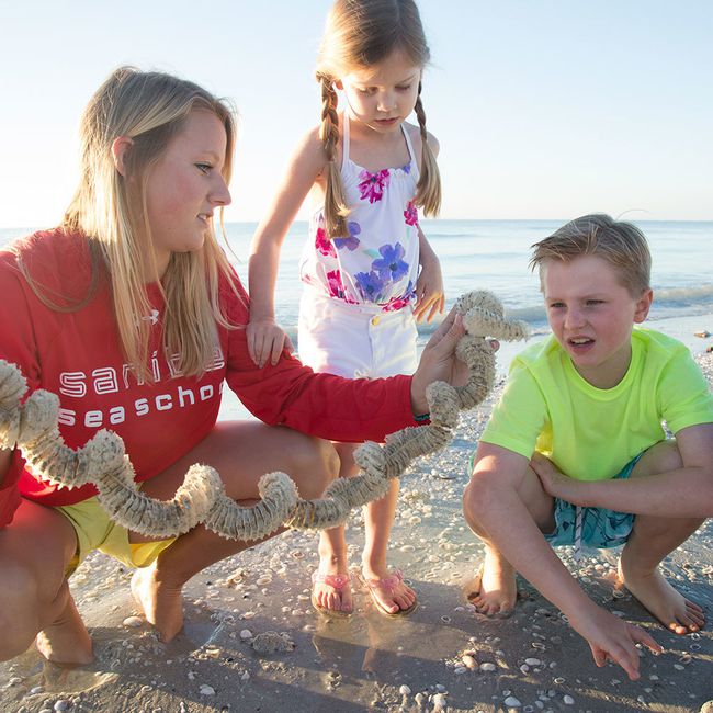 Sundial Beach Resort & Spa in Sanibel Island, Florida