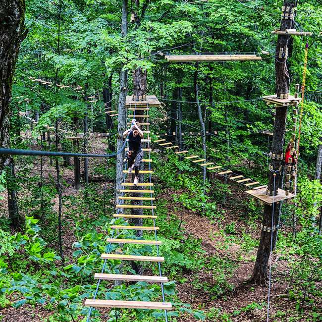 Explore the Tree Tops In Vermont