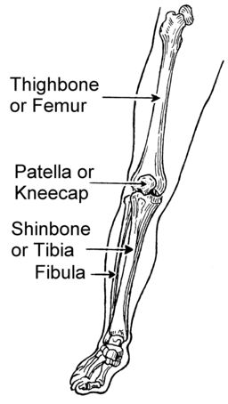 What Pigeon Toeing Really Is (and 3 Ways to Improve It)